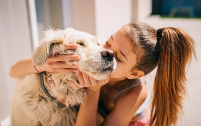7 razões pelas quais você precisa de um cachorro em sua vida