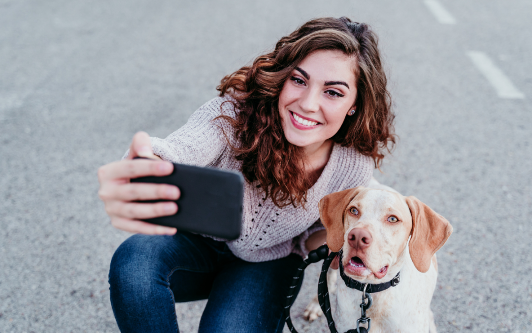 Quer tirar boas fotos do seu cachorro? Confira essas dicas